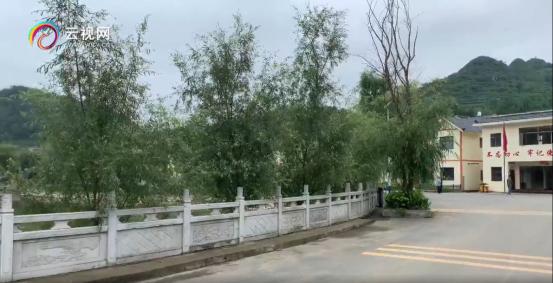 微博话题阅读破亿，全网点击1.5亿镇雄社会扶贫直播火爆，助