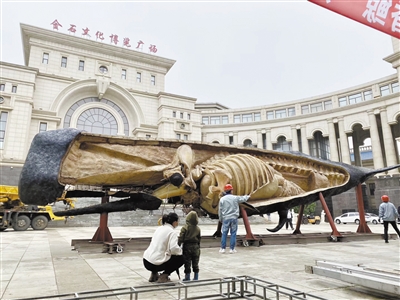 我国制成世界最大生物塑化标本