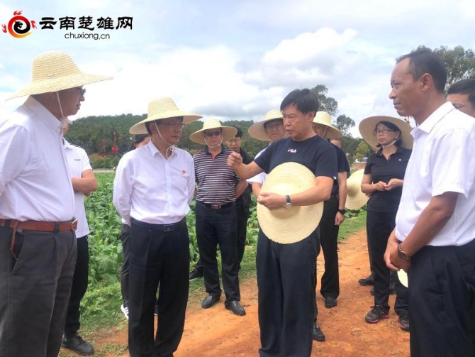 398fda23-2cec-43b9-b7b8-2395c3bc40b7_watermark 398fda23-2cec-43b9-b7b8-2395c3bc40b7_watermark