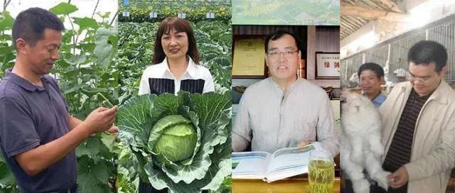 4位农民评上了正高职称,凭啥→