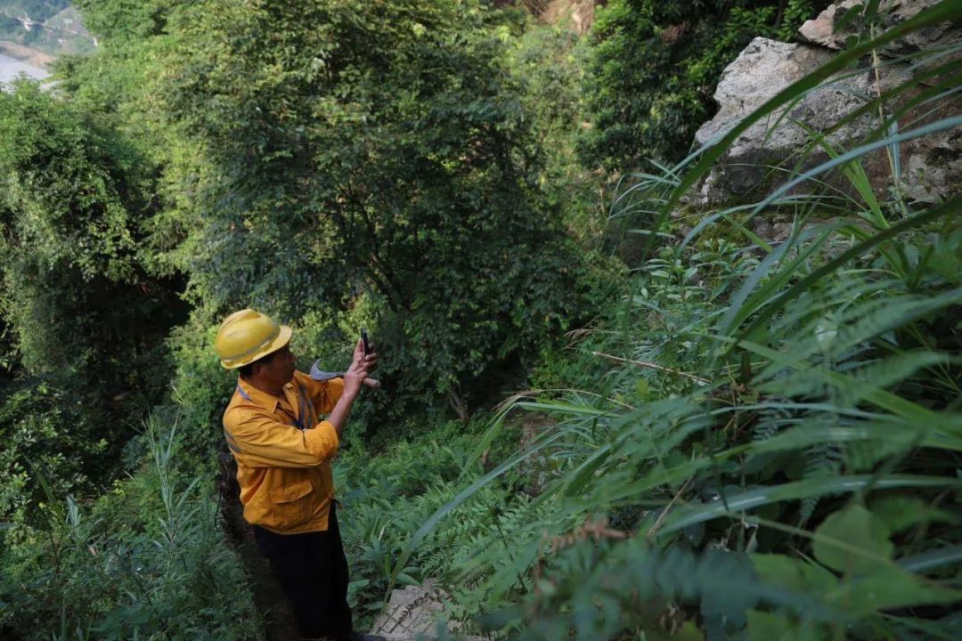 大雨来袭！两位老兵徒步走进深山里