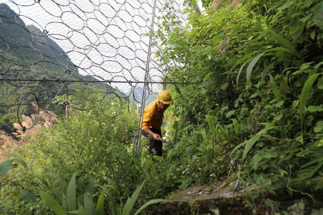 大雨来袭！两位老兵徒步走进深山里