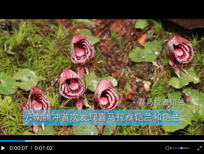 360截图20200720101745719