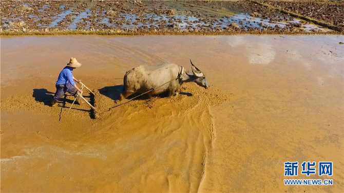 139221764_15952060371501n