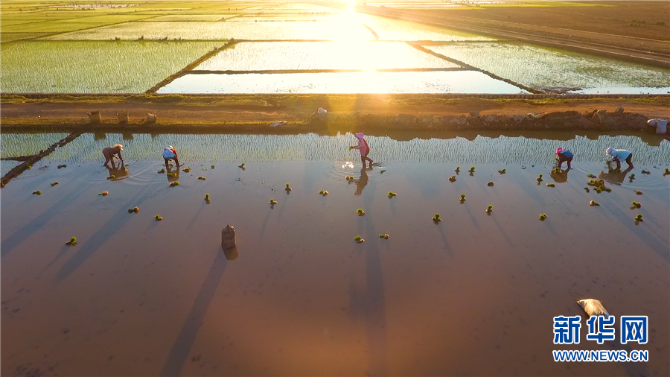 139221764_15952060390891n