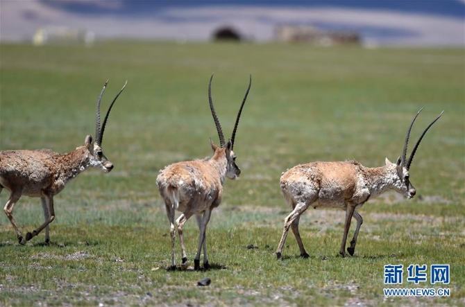 1126268963_15953787932901n 1126268963_15953787932901n