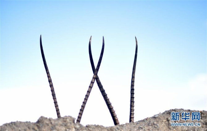 1126268963_15953787932641n (1) 1126268963_15953787932641n (1)