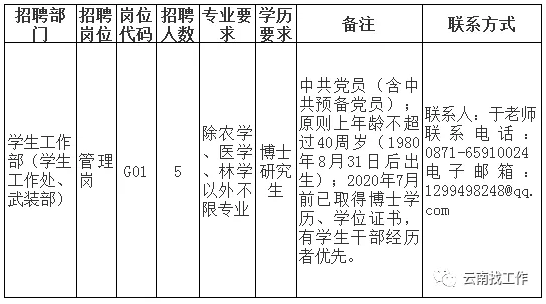 招聘岗位及要求