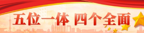 五位一体-四个全面