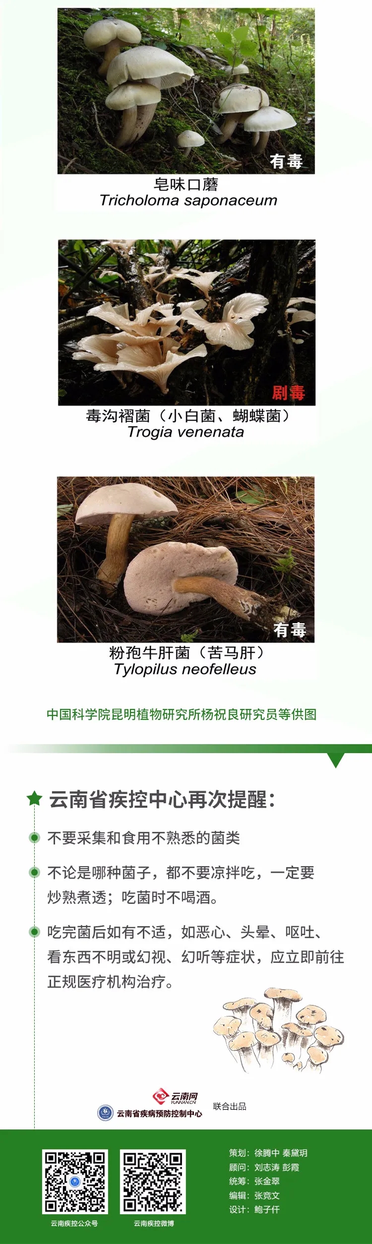 8.webp