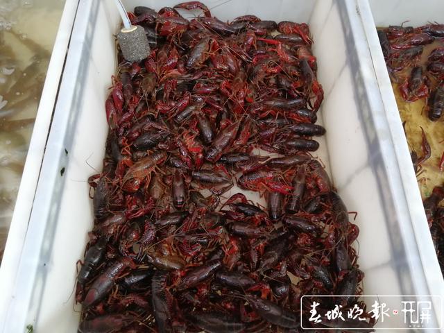 202008051925334KVGKNn