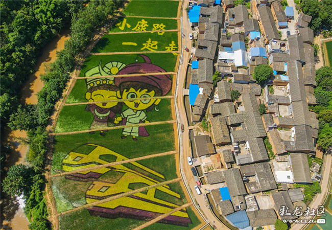 3当前，宜良河湾村、马蹄湾的稻田彩画进入最佳观赏期。