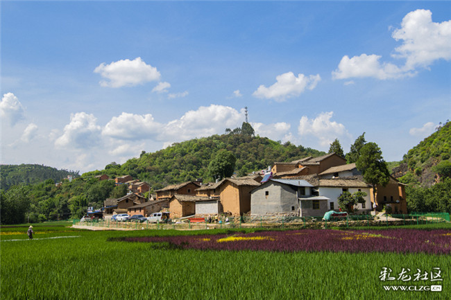 4蓝天白云下，青山绿水，彩色稻田，河湾村美景如画。