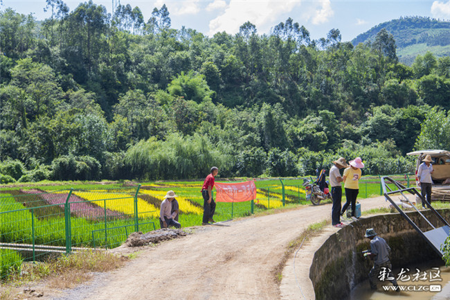 27河湾村的石师傅和几位村民在修路，他们说，现在是稻田彩画观赏期，来的游客多了，路修宽一些，便于车辆进出。