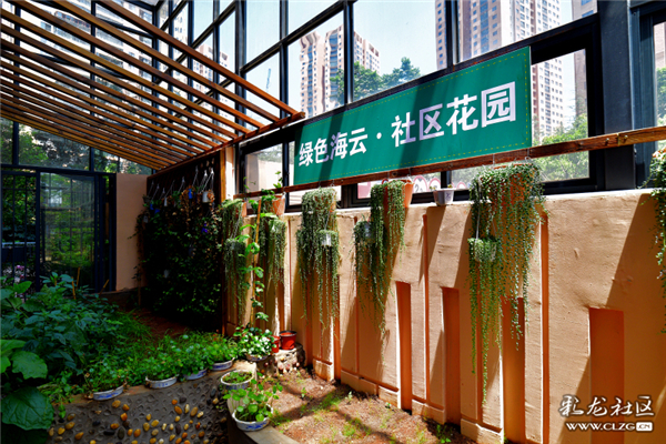 绿色海云 社区花园 铜钟摄