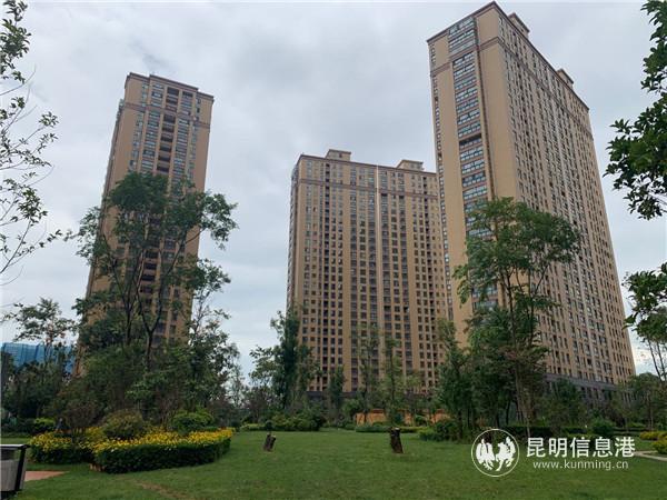 有2000余回迁户的观云海小区。记者劳学丽 摄