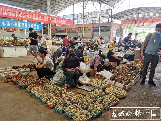 昆明农贸市场严格把控“野生菌安全”