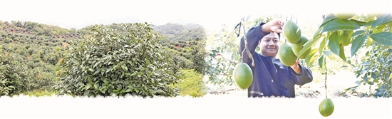 2020081406_res03_attpic_brief