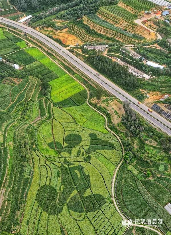 微信图片_20200815192034 微信图片_20200815192034