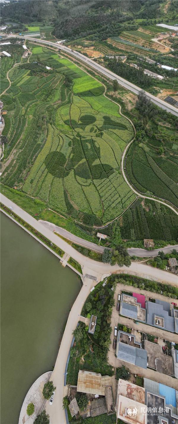 微信图片_20200815192043 微信图片_20200815192043