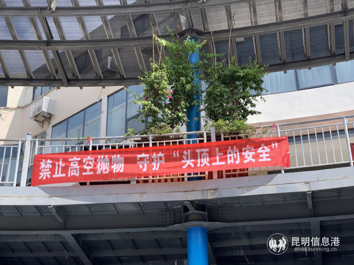 图片 4