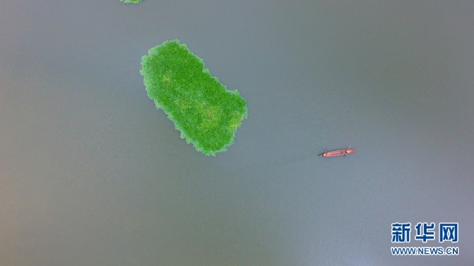 00302188274_4dede986 00302188274_4dede986