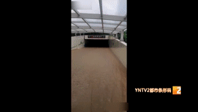 29.gif