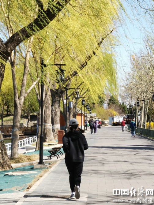 跑步真的可以减肥瘦身吗?