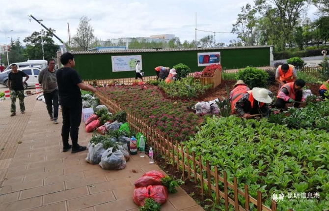 对城区边角空地开展增绿1