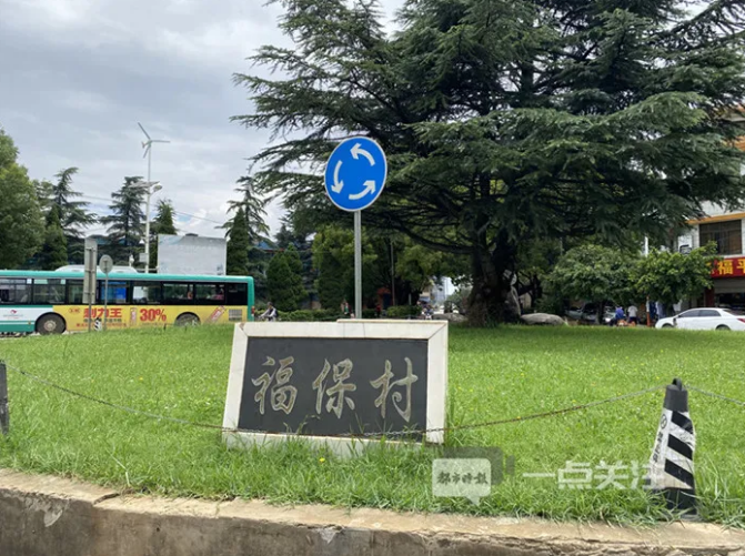 福报5
