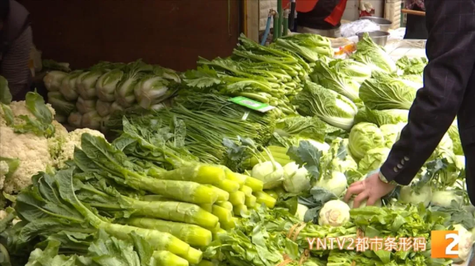 涨涨涨6