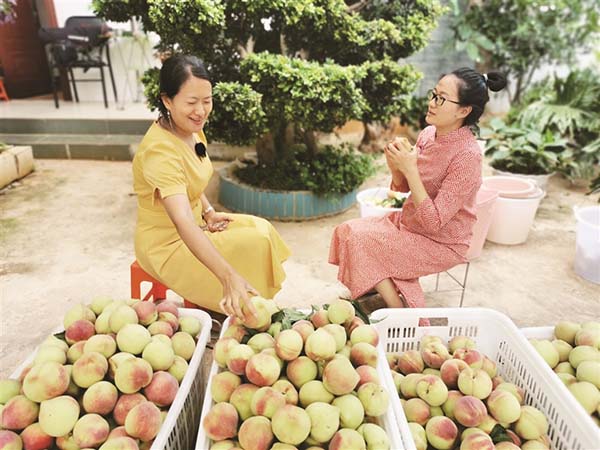 729709fa-f619-4f9e-a306-0bf20b1ff69b 729709fa-f619-4f9e-a306-0bf20b1ff69b