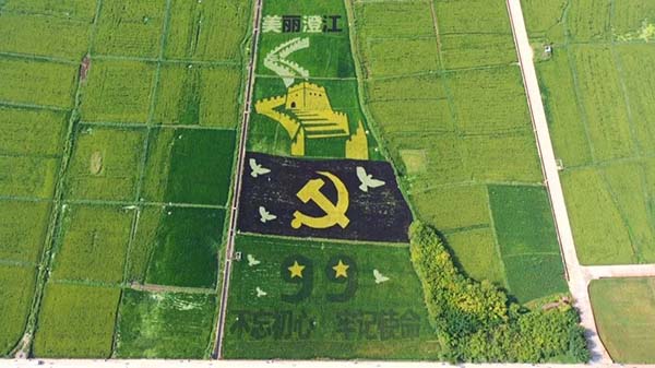 00302341426_ccc24460