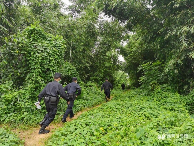 民警在树林中搜查可疑人员