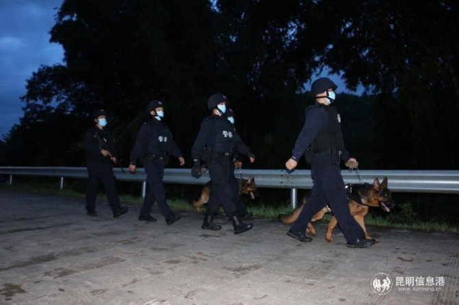 夜间，民警带着警犬在交通要道巡逻防控。