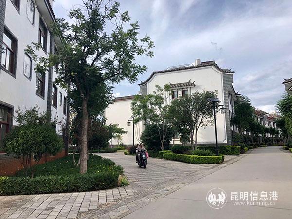 图片1 玉泉湖小区一景 记者谭石艳 摄