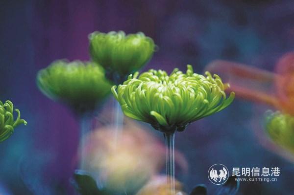 微信图片_20200923155229