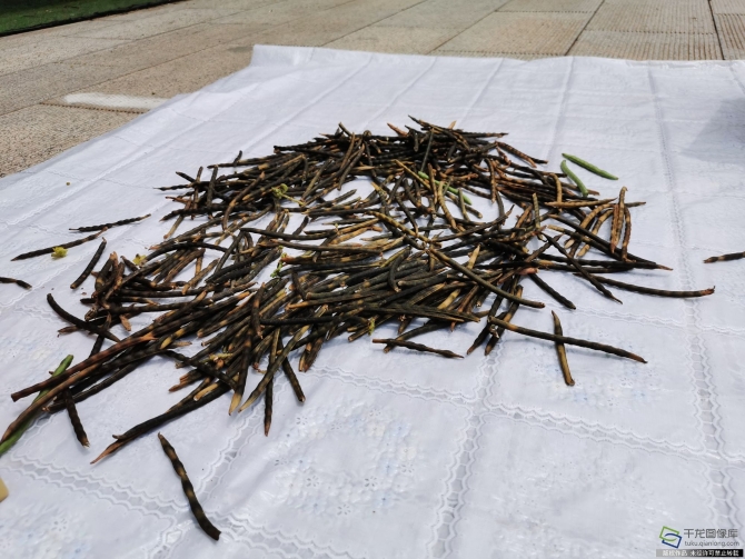 微信图片_20200924095655