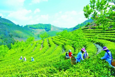 以教育精准扶贫夯实全面脱贫基础 以教育精准扶贫夯实全面脱贫基础