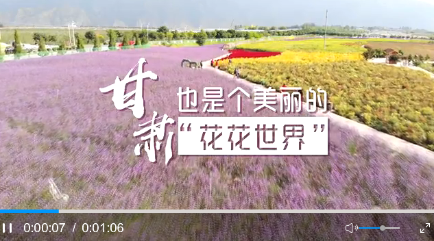 微信截图_20200924195231