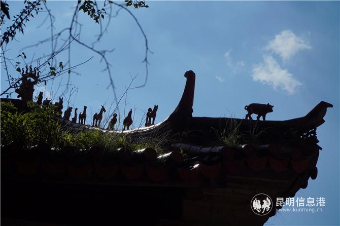 旧寨村  (1)