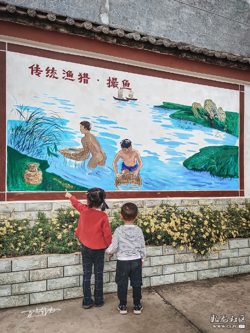 16010003688615588595567083316_5560