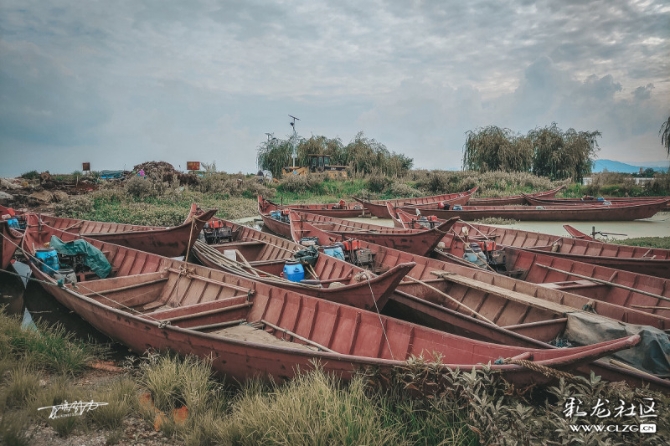 16010003684724564438159451942_5560