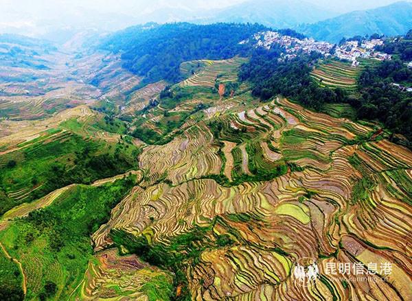 图片1 撒玛坝梯田壮美景观 供图