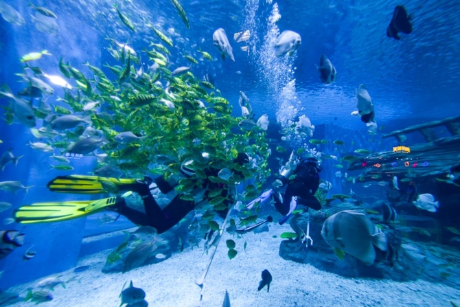 重庆融创文旅城海世界 重庆融创文旅城海世界