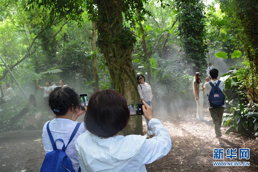 9月26日，游客在厦门市园林植物园内的雨林植物区拍照留念。 国庆节前，厦门市园林植物园游人络绎不绝。厦门市园林植物园始建于1960年，是中国十大植物园之一，也是福建省首个综合性植物园，现已从世界各地引种栽培保育植物8500多种。 新华社记者 颜之宏 摄