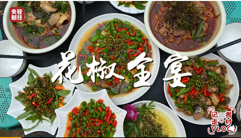 央视记者带你解锁云南鲁甸花椒的N种打开方式1.png