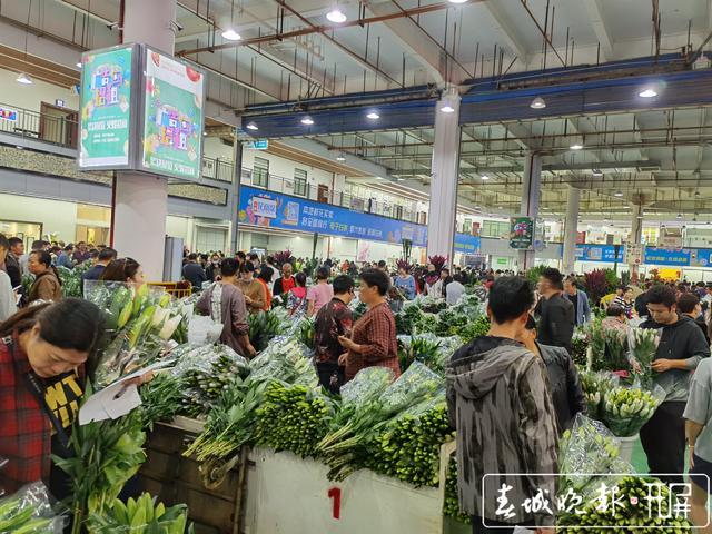 双节期间日均入园人数达2万 价格高于往年一倍2.jpg