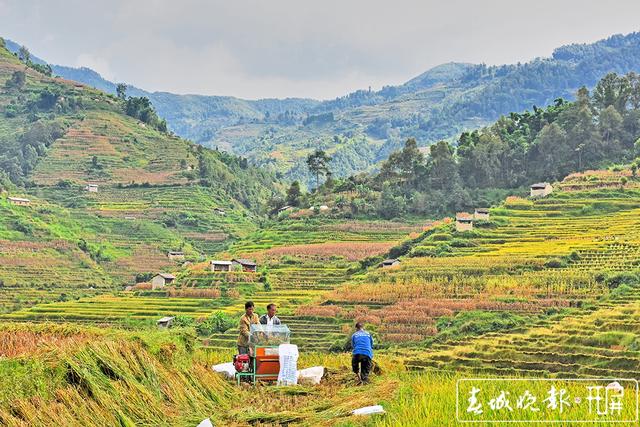 保山昌宁：金色梯田品乡愁