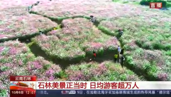 霸屏！上完新闻联播又登人民日报 这个国庆13.png